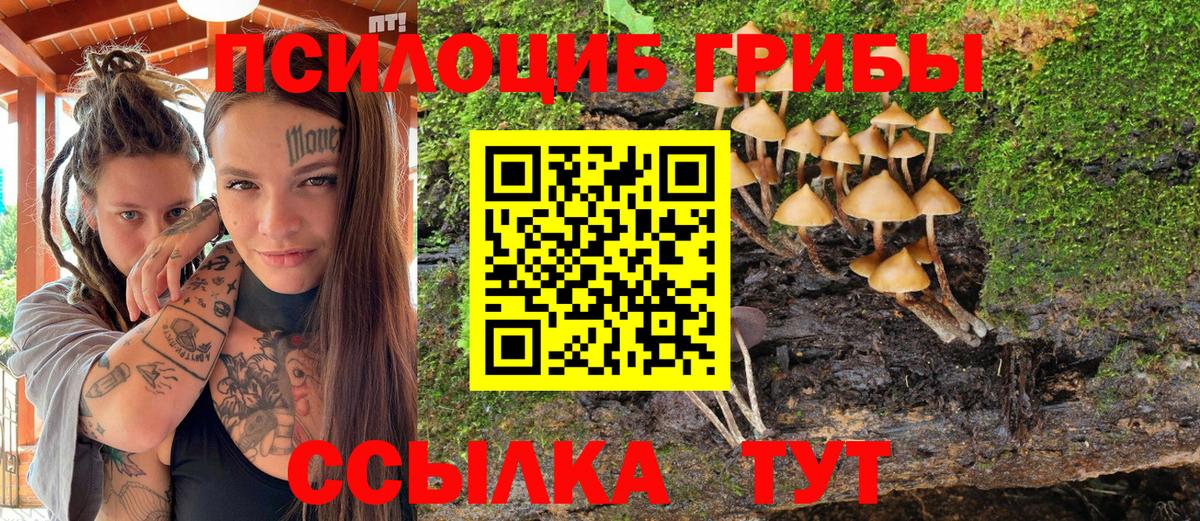 Псилоцибиновые грибы ЛСД Долгопрудный